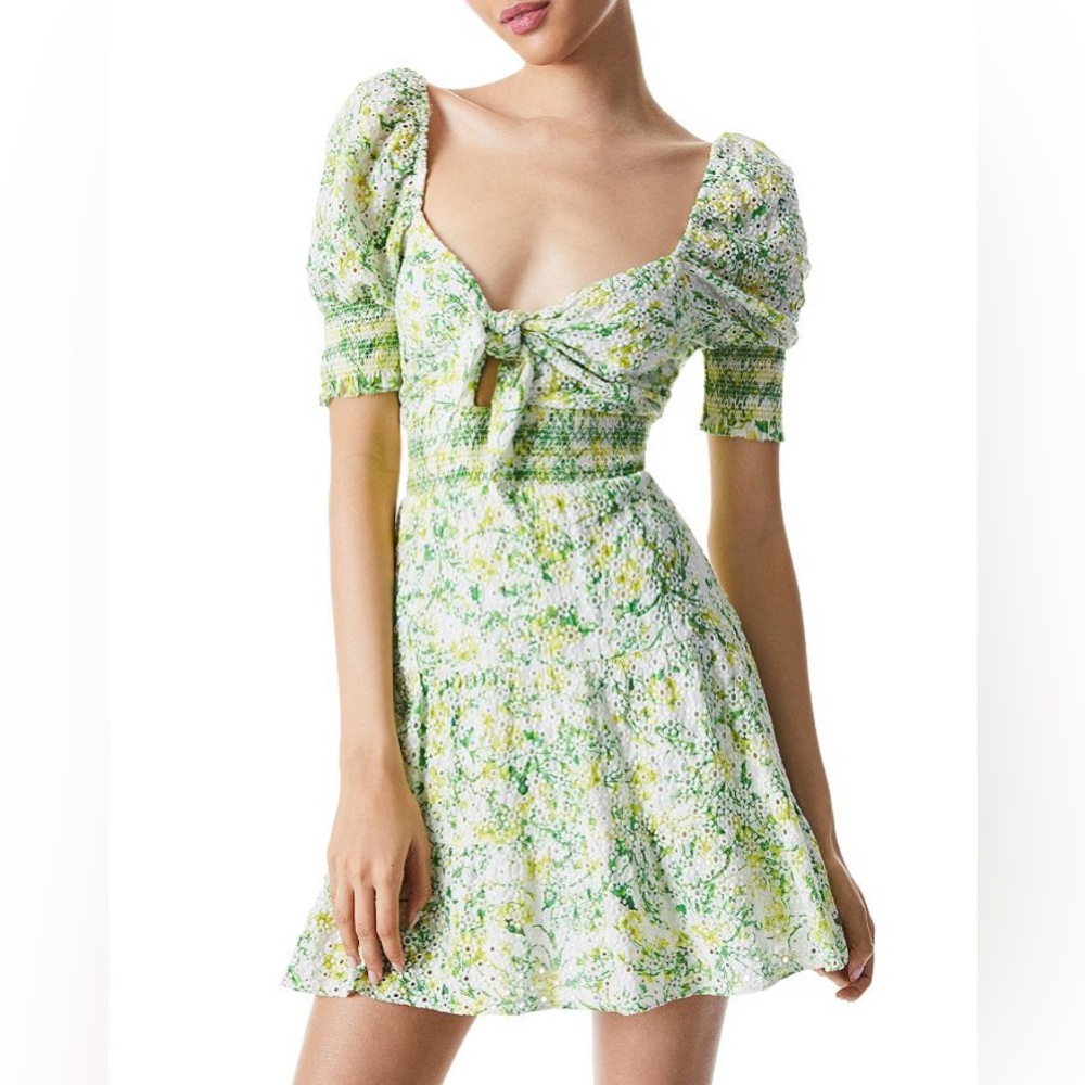 Alice + Olivia Kristie Mini Dress